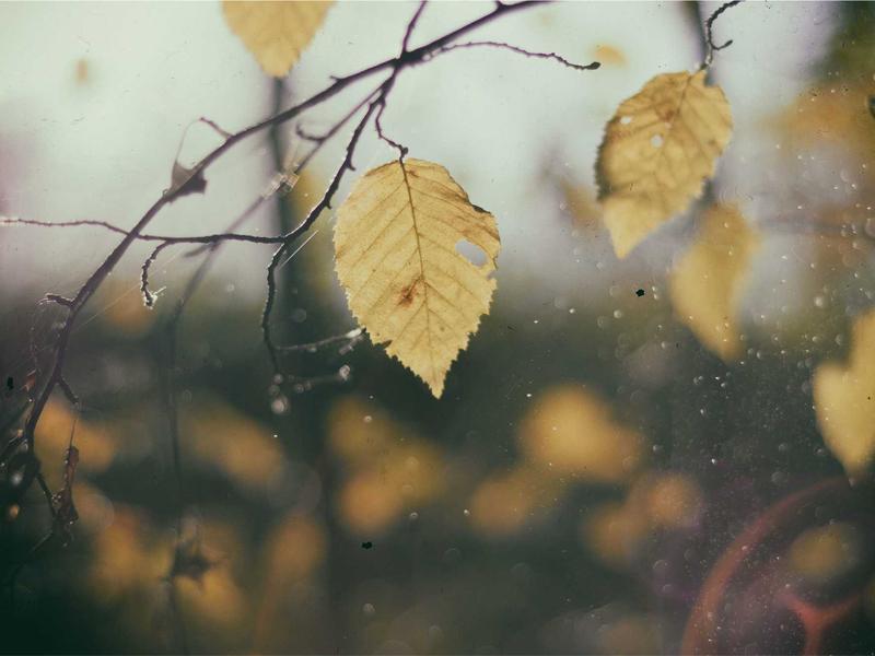 隐私网关<br>AI 鉴黄与敏感词过滤
